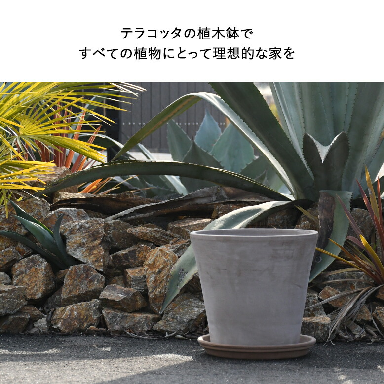 植木鉢 素焼き テラコッタ 8号鉢 プランター イタリア Deroma デロマ