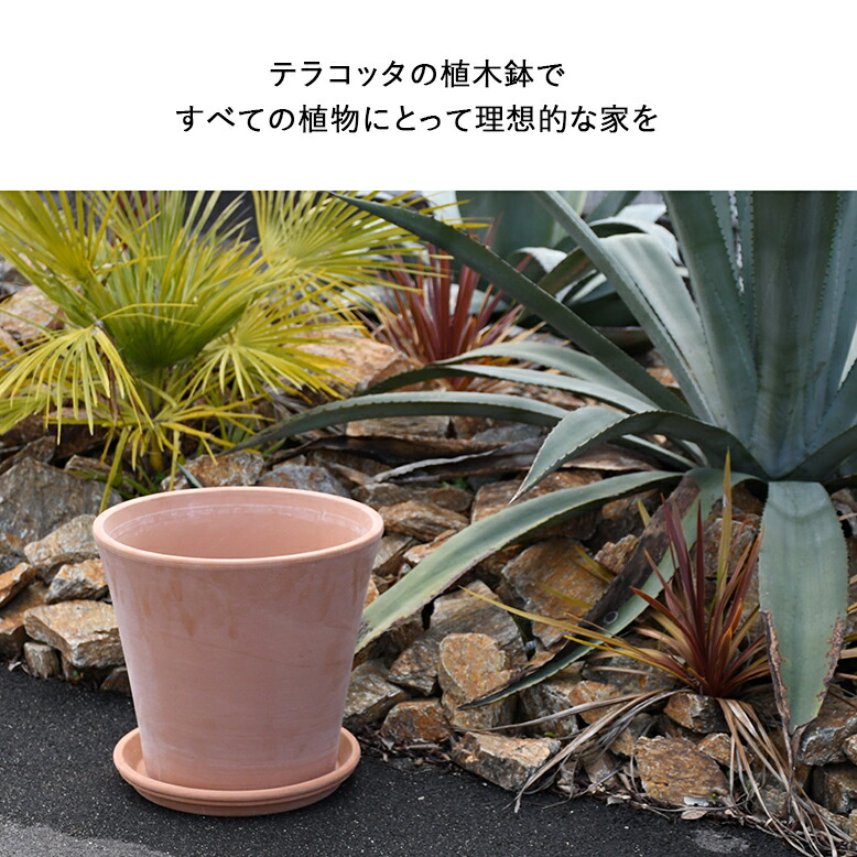 植木鉢 素焼き テラコッタ 10号鉢 陶器 プランター 浅鉢 イタリア