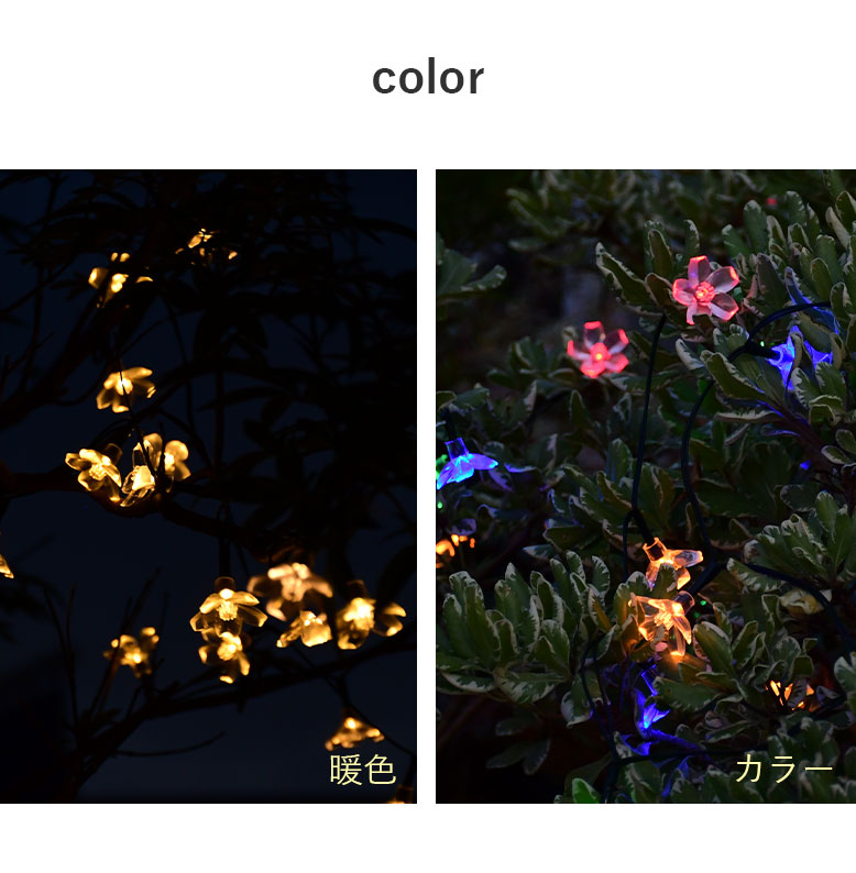 lamp CD 雨に花 Lamp – 雨に花 – CD (Limited Edition), 2015 [r11201659] | Discogs