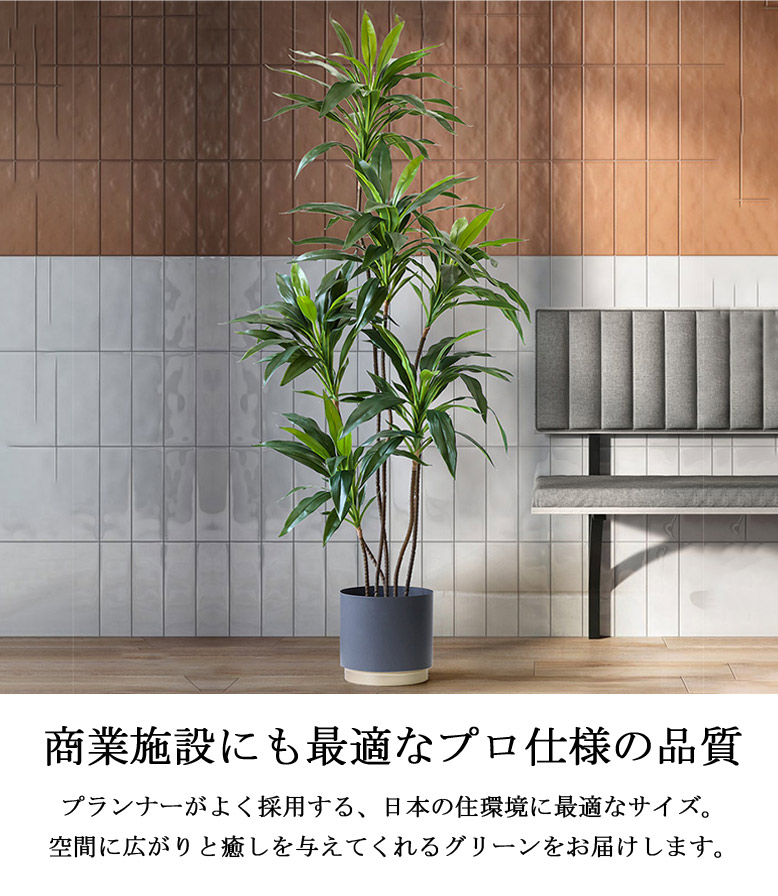 先行予約11月上旬入荷予定 フェイクグリーン 大型 オリーブ 観葉植物