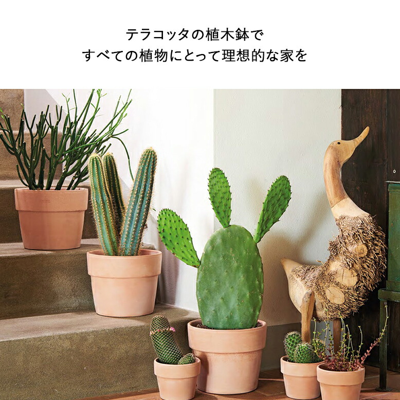 楽天市場】植木鉢 素焼き テラコッタ 16号鉢 おしゃれ 陶器