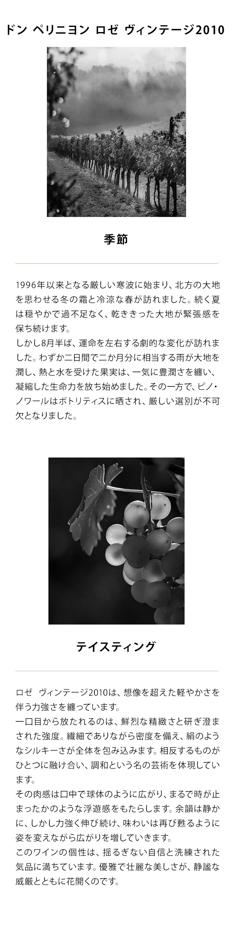 渡部耿贇「モンマルトル」風景画 油彩F8号 真作保証 フランス芸術家