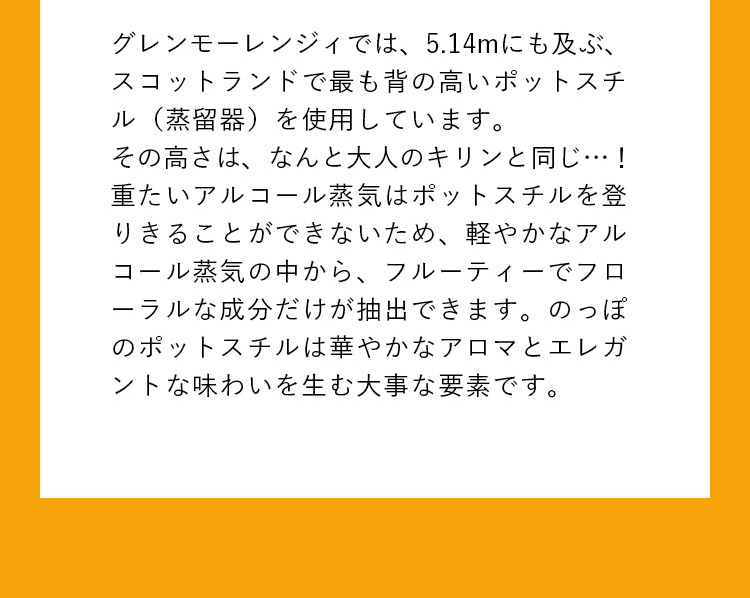 GLENMORANGIE 期間限定ポイント+10％ ウイスキー 正規公式店