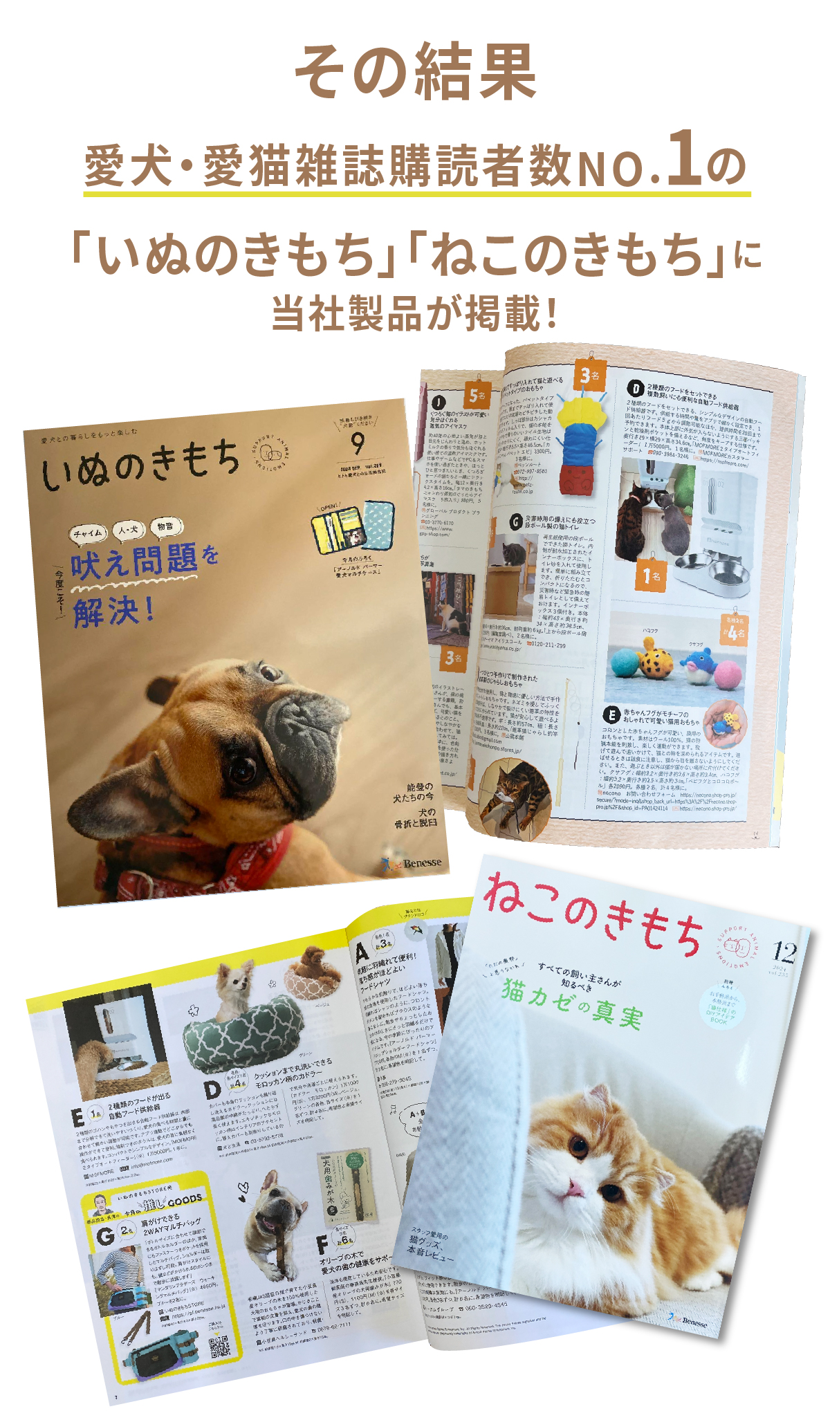 自動給餌器 猫 2匹