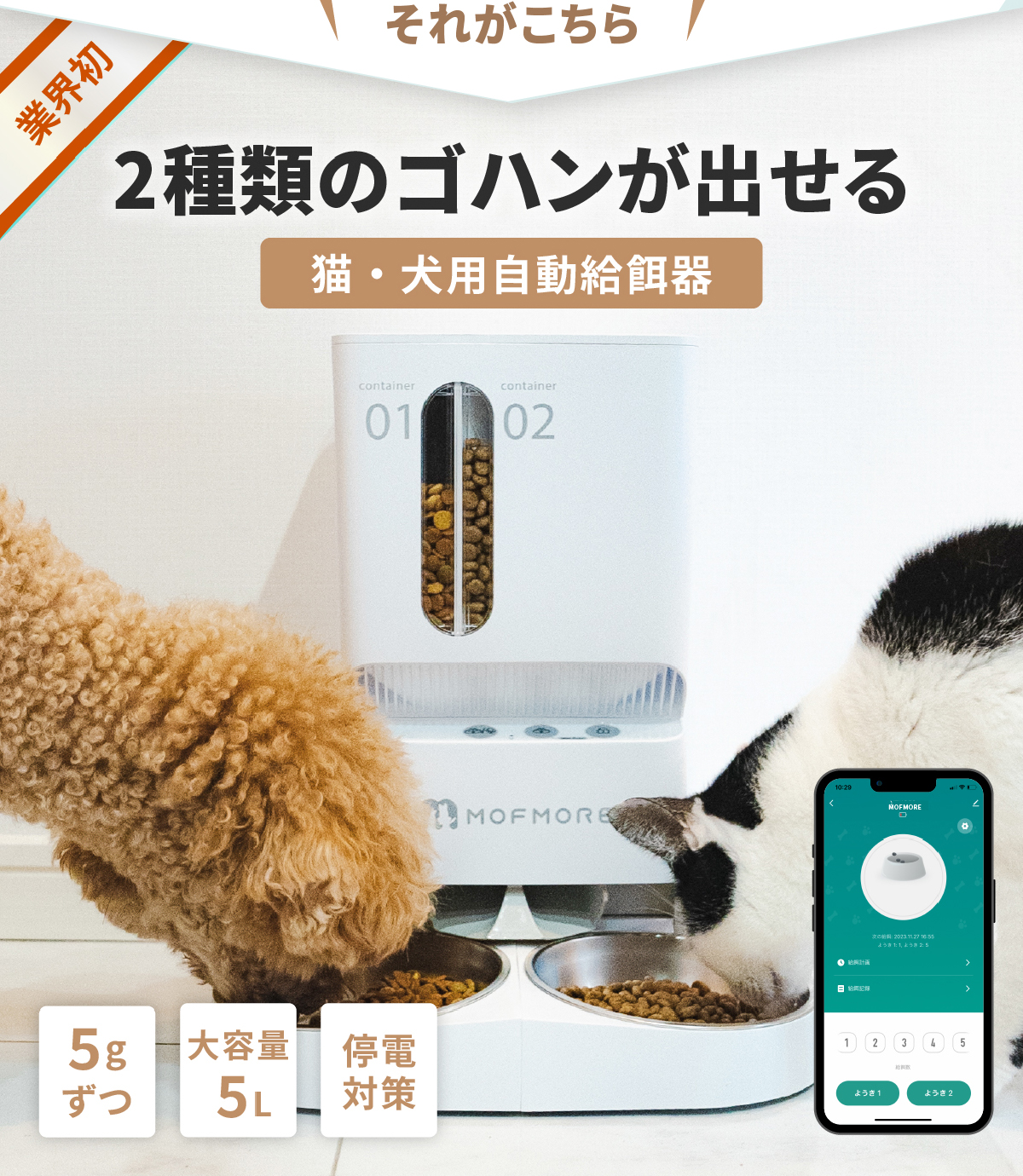 自動給餌器 猫 2匹