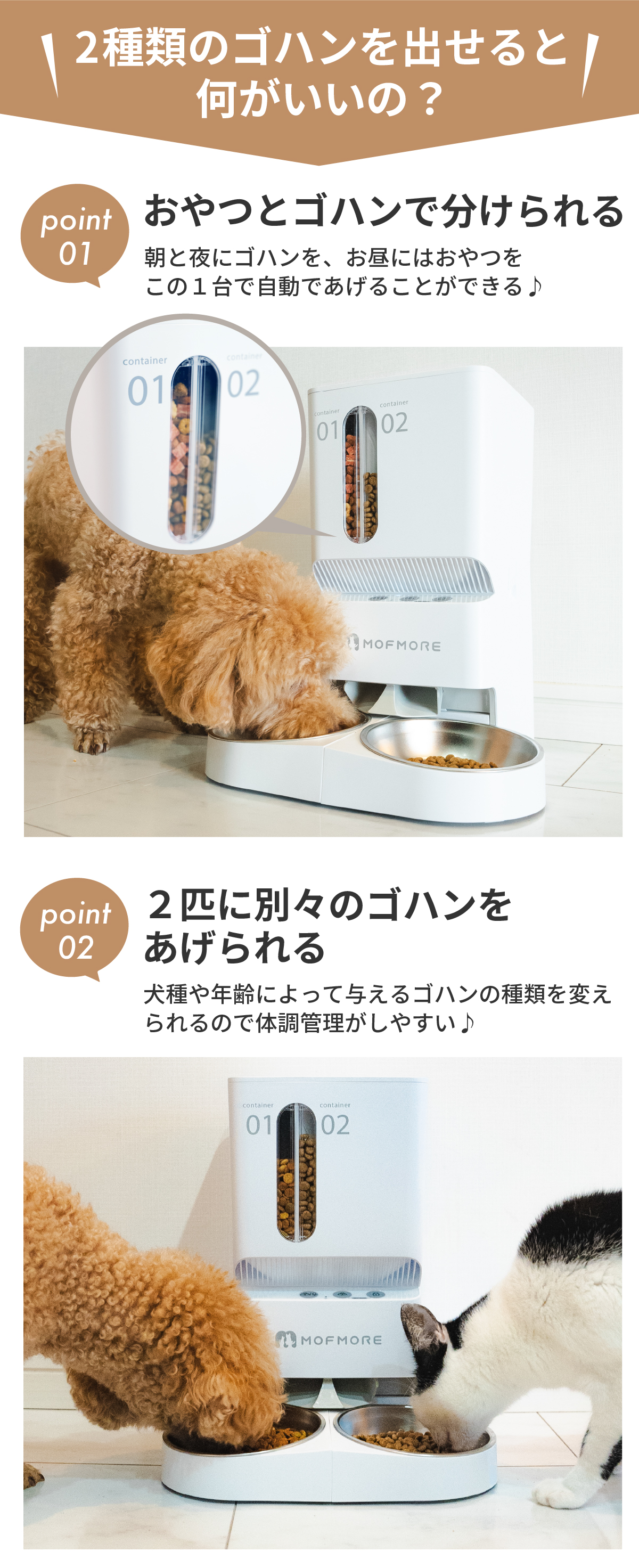 自動給餌器 猫 2匹