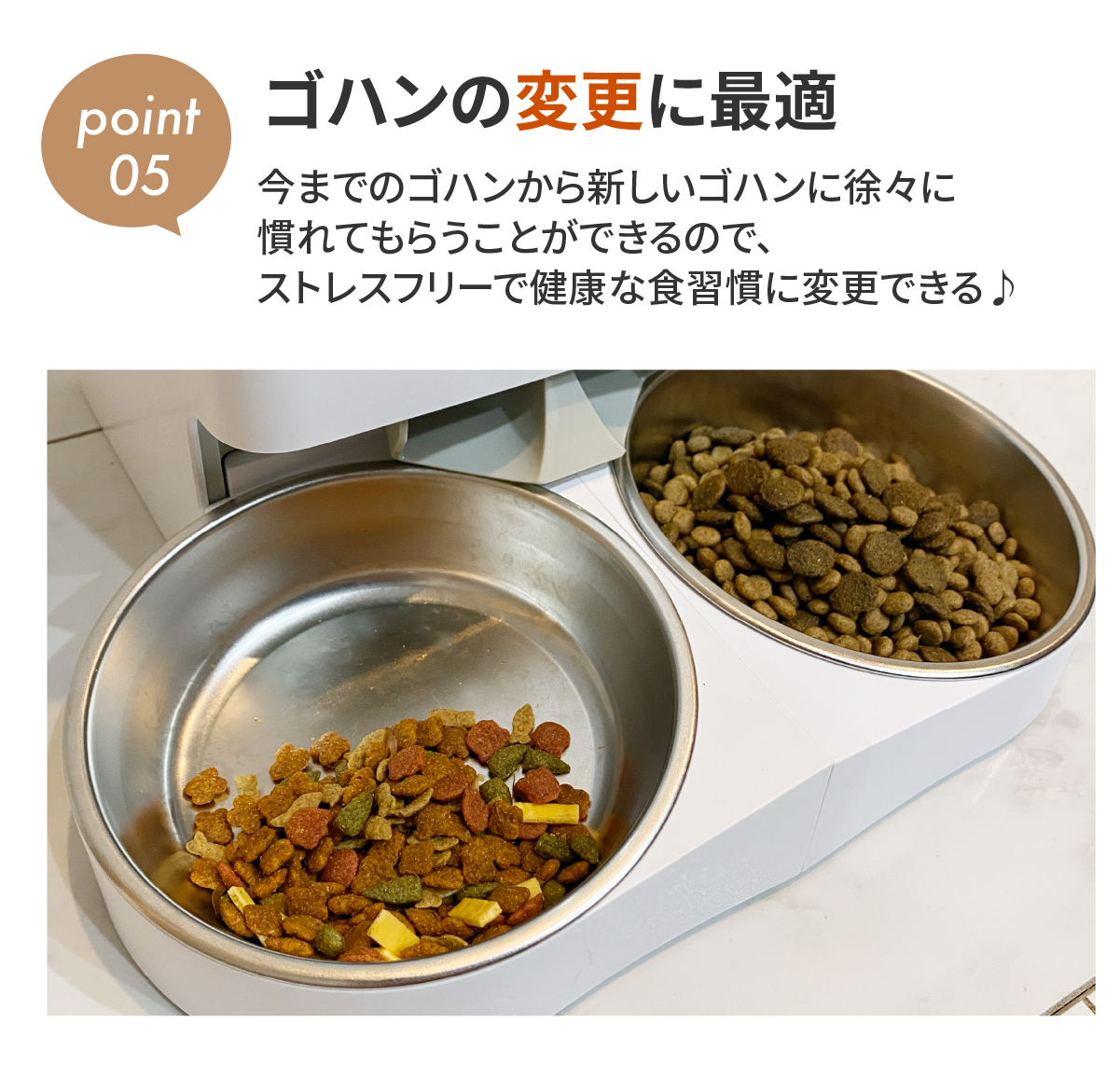 自動給餌器 猫 2匹