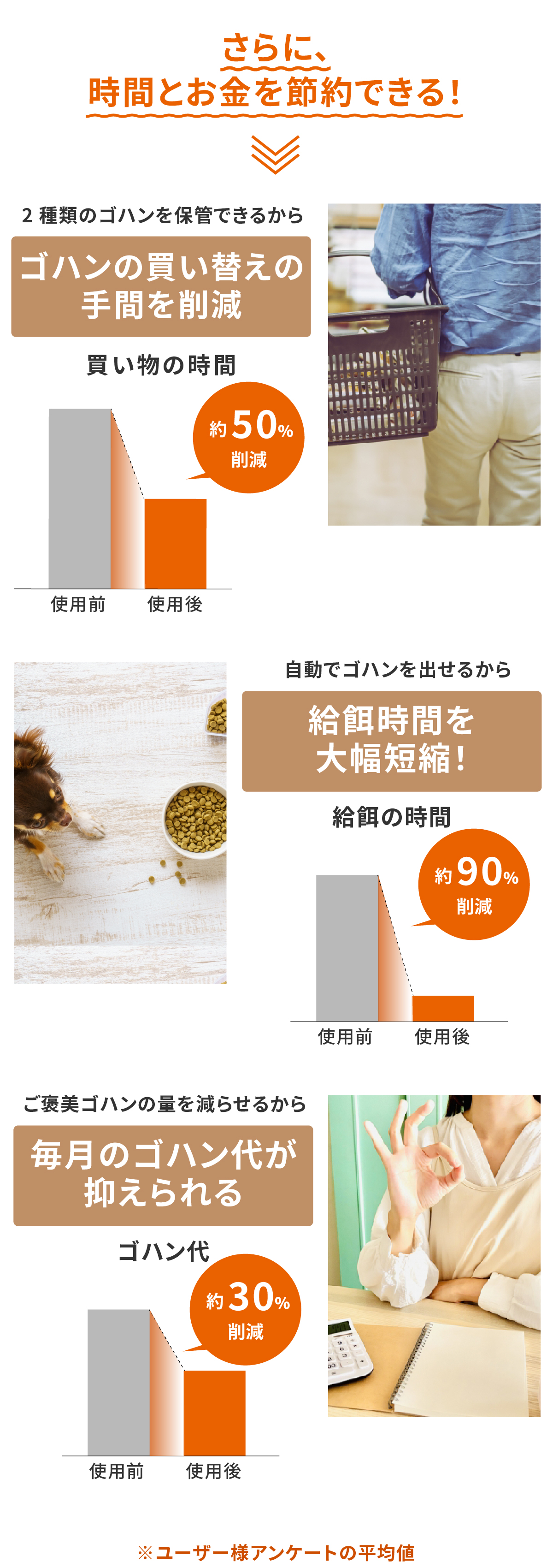 自動給餌器 猫 2匹