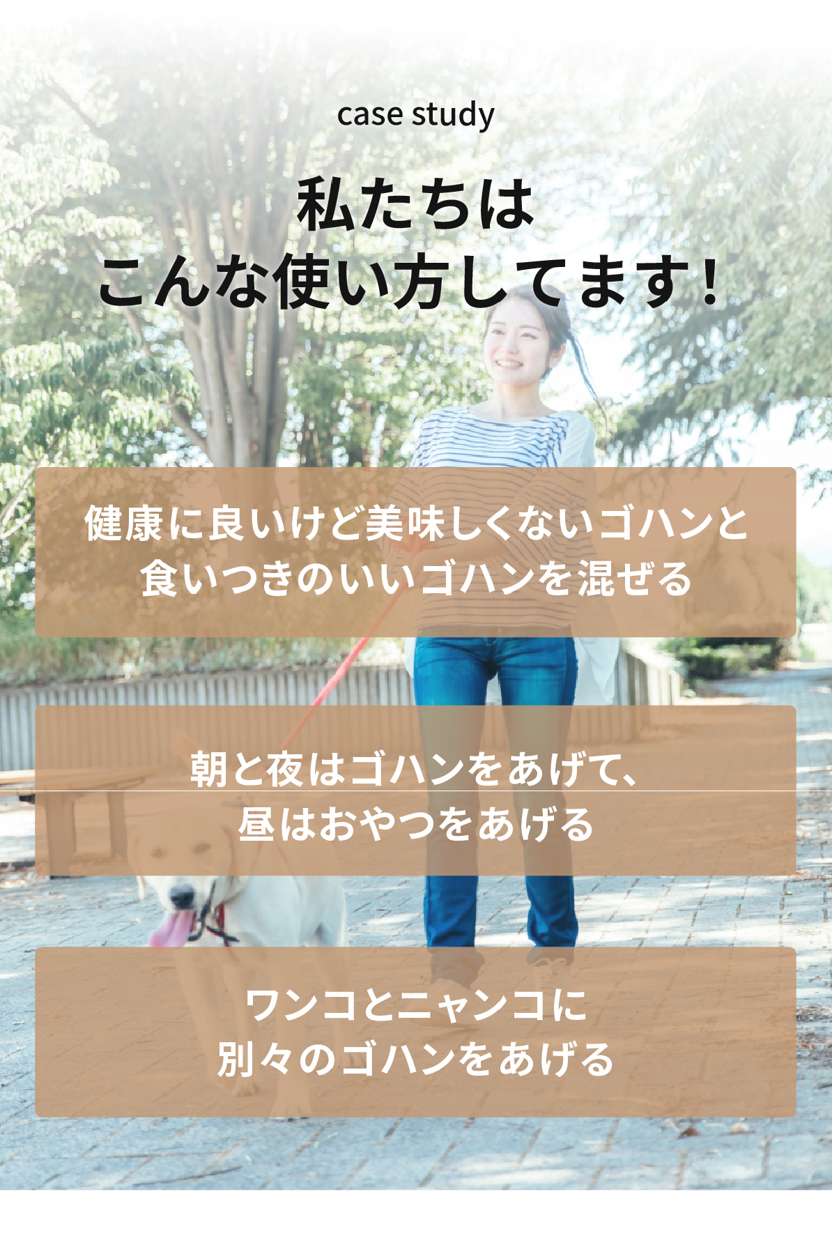 自動給餌器 猫 2匹