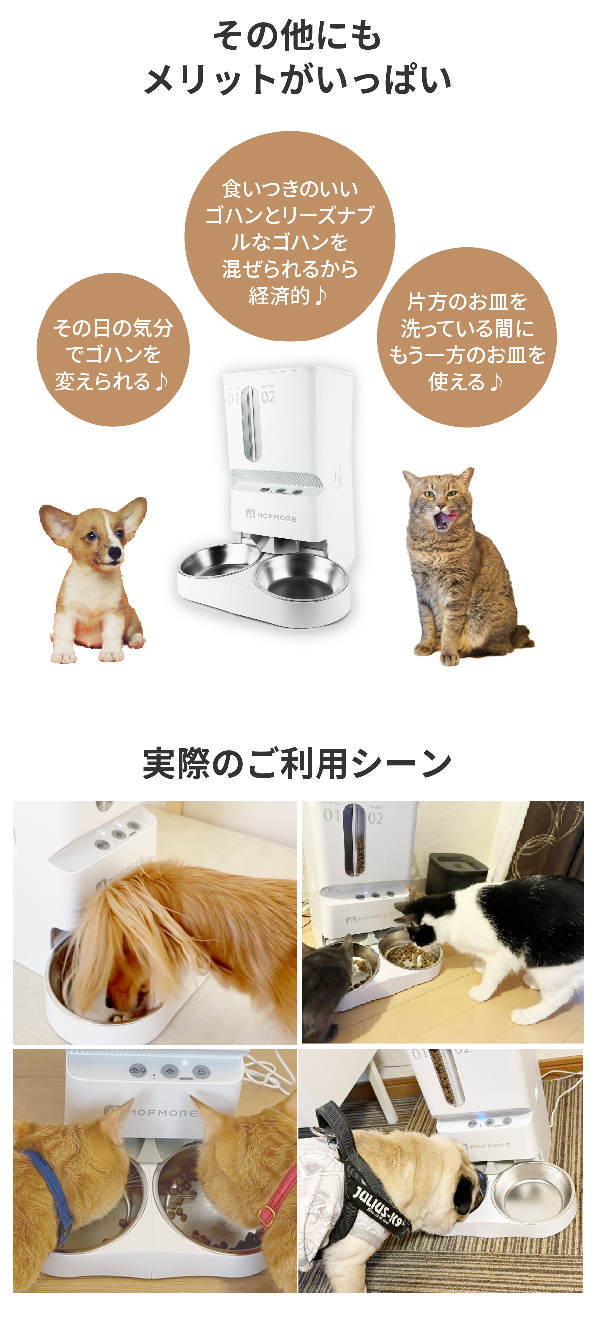 自動給餌器 猫 2匹