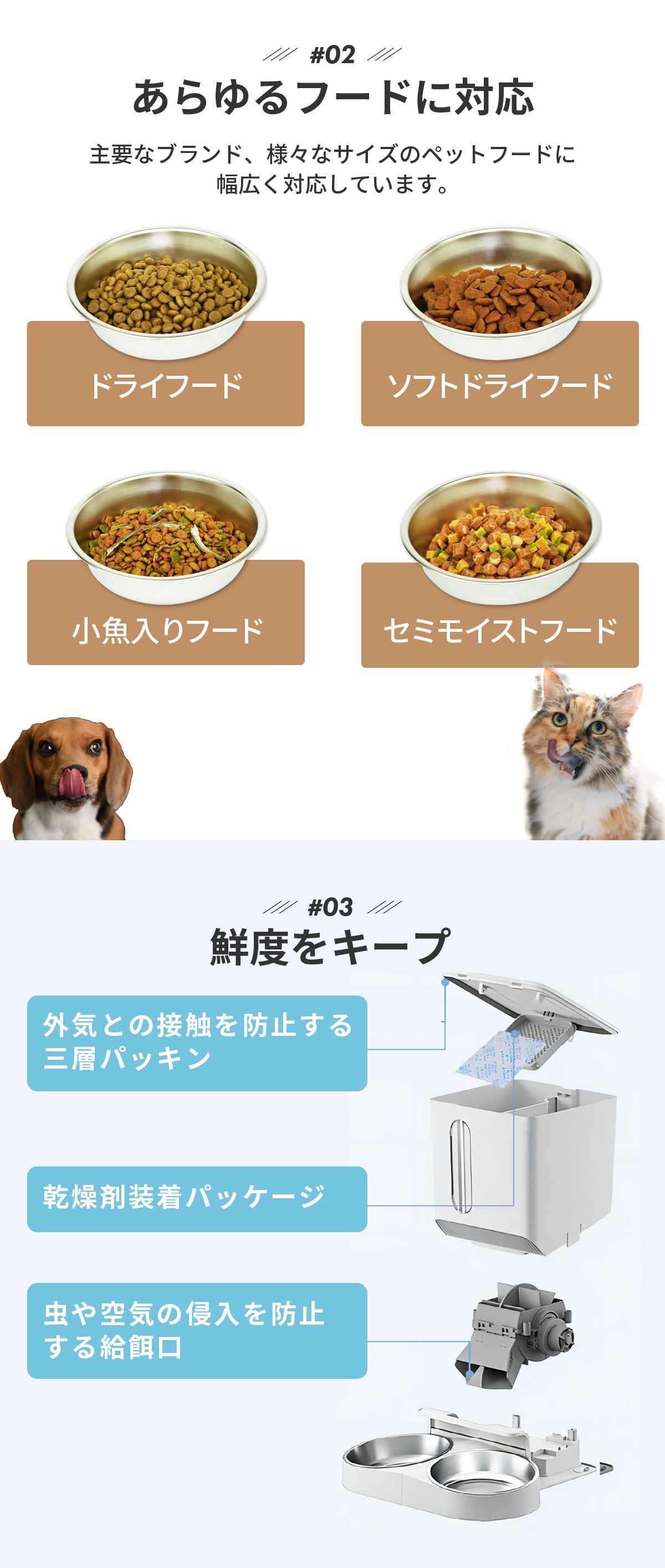 自動給餌器 猫 2匹