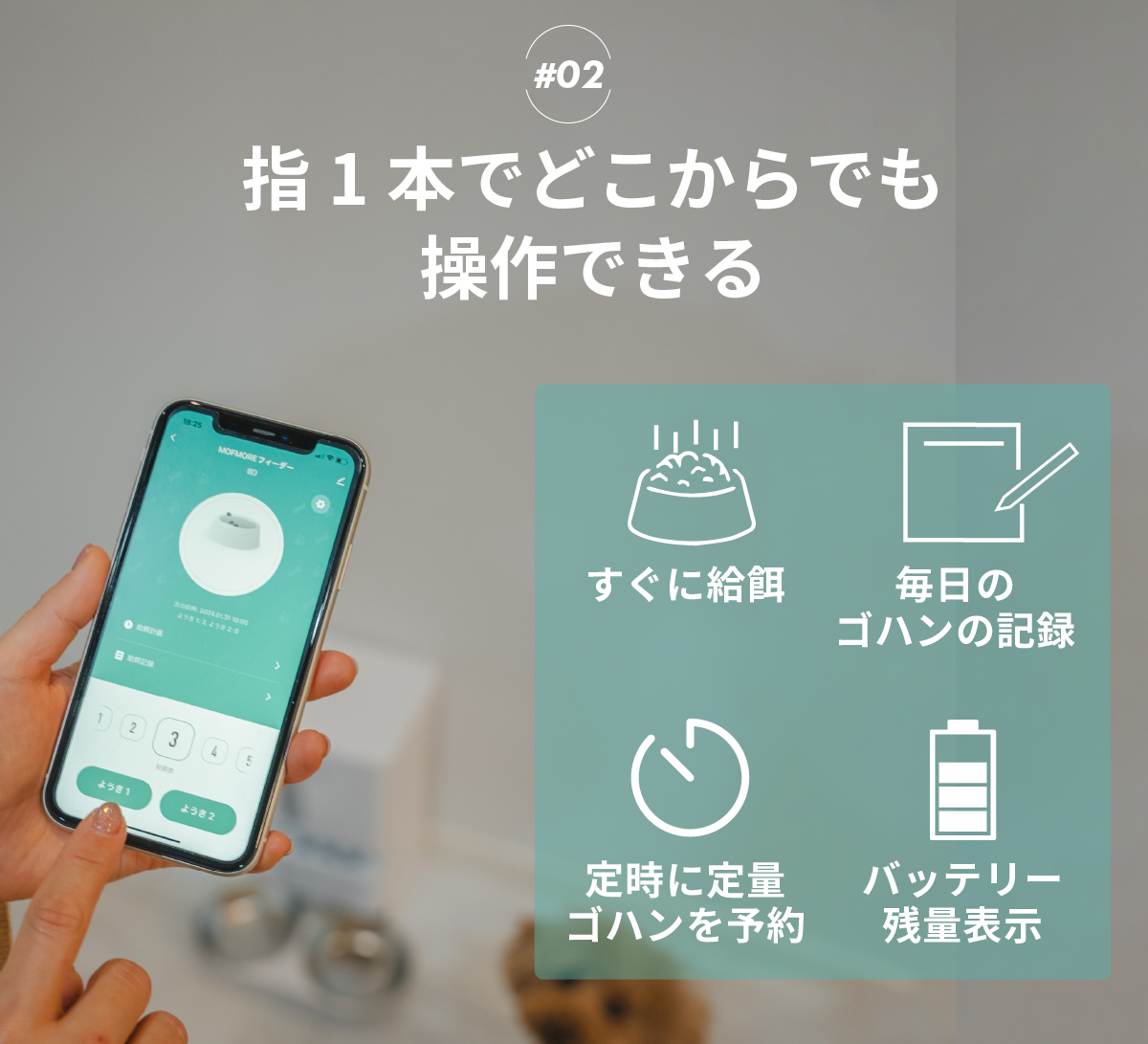 自動給餌器 猫 2匹