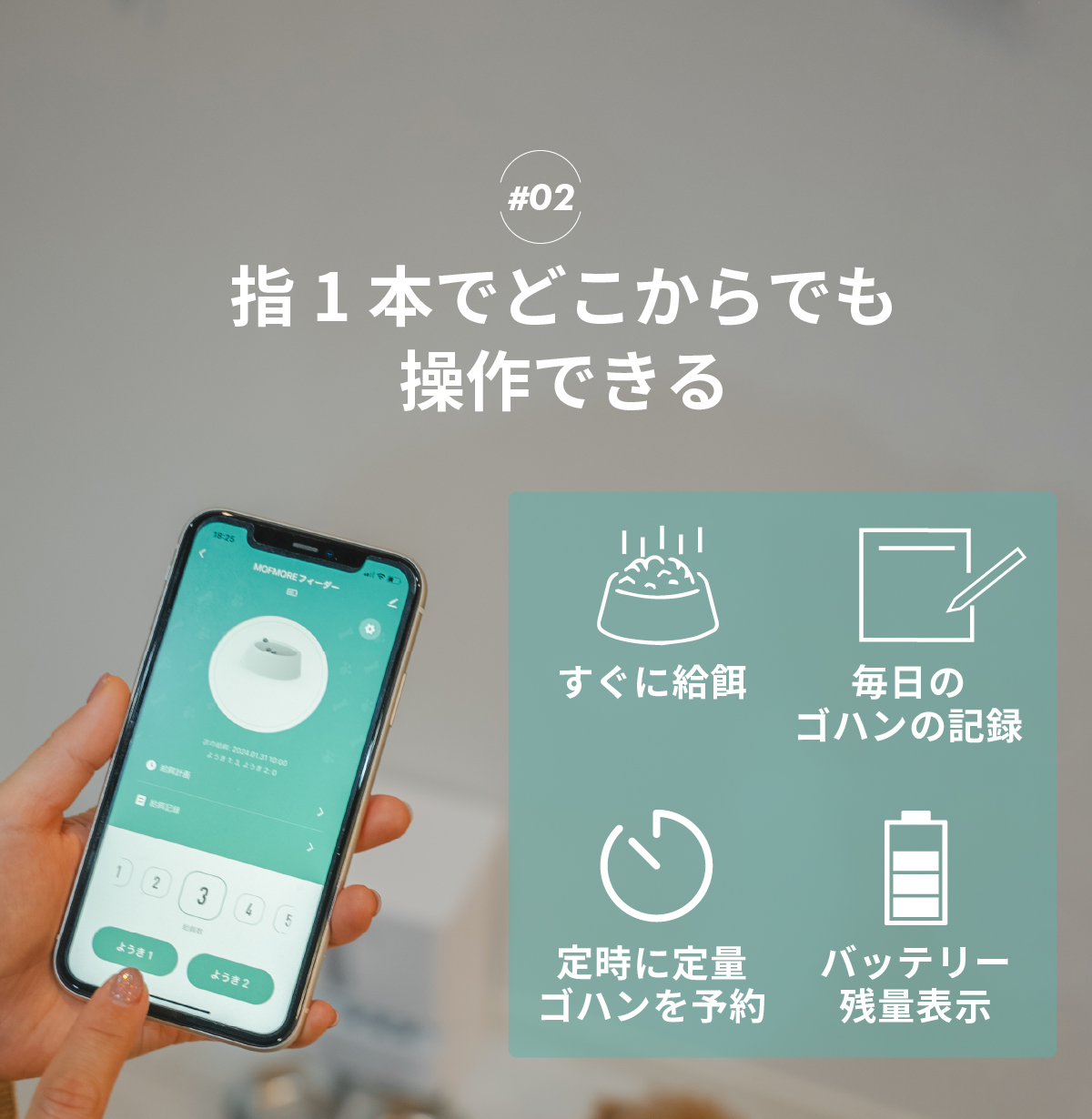 自動給餌器 猫 2匹