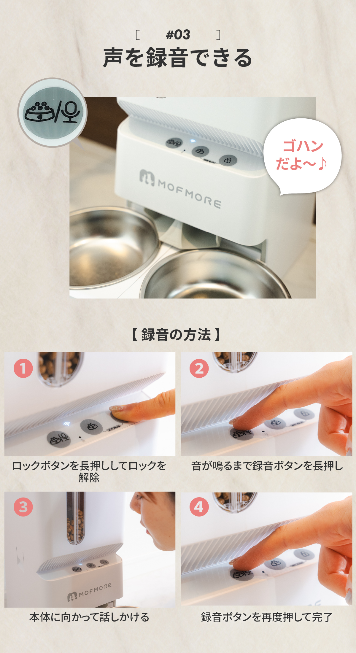 自動給餌器 猫 2匹