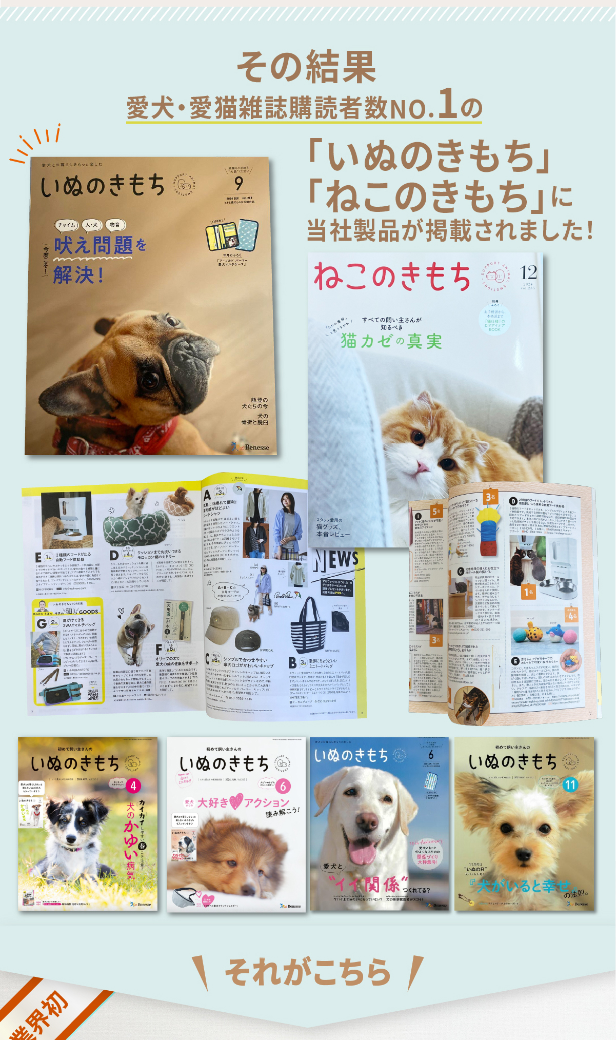 自動給餌器 猫 2匹
