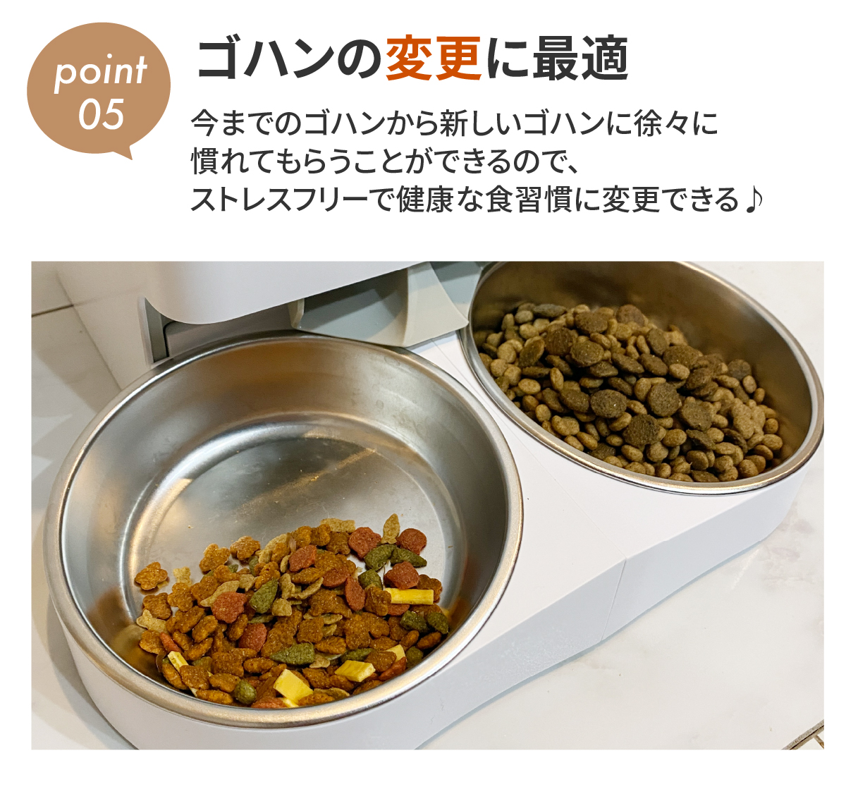 自動給餌器 猫 2匹