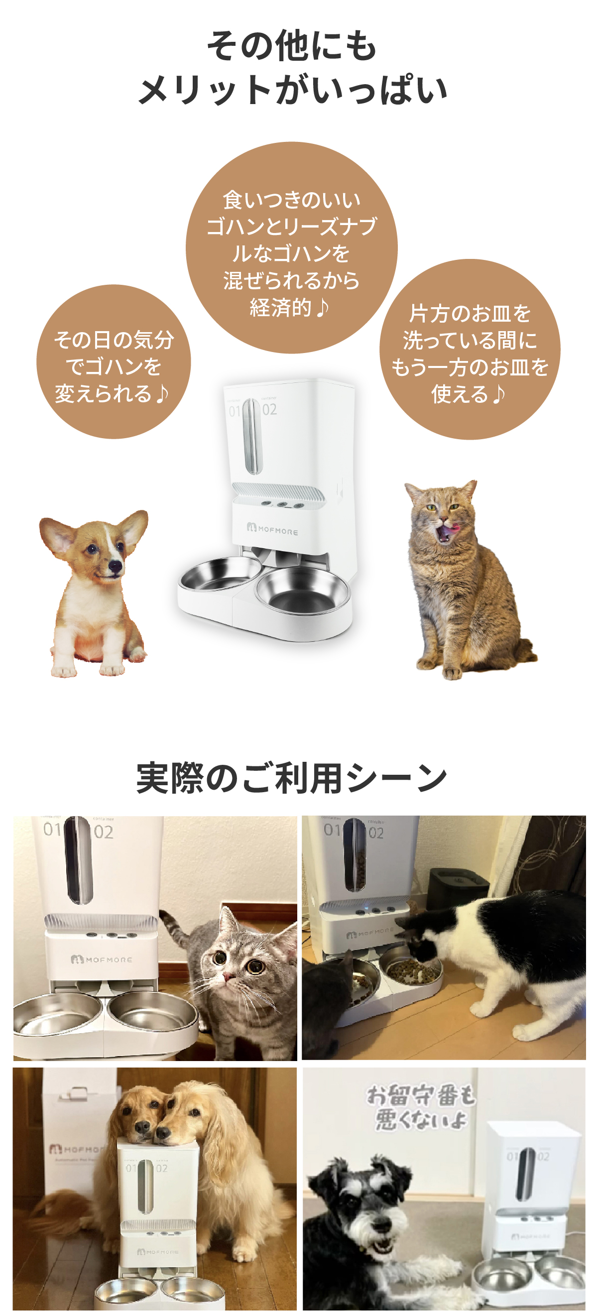 自動給餌器 猫 2匹