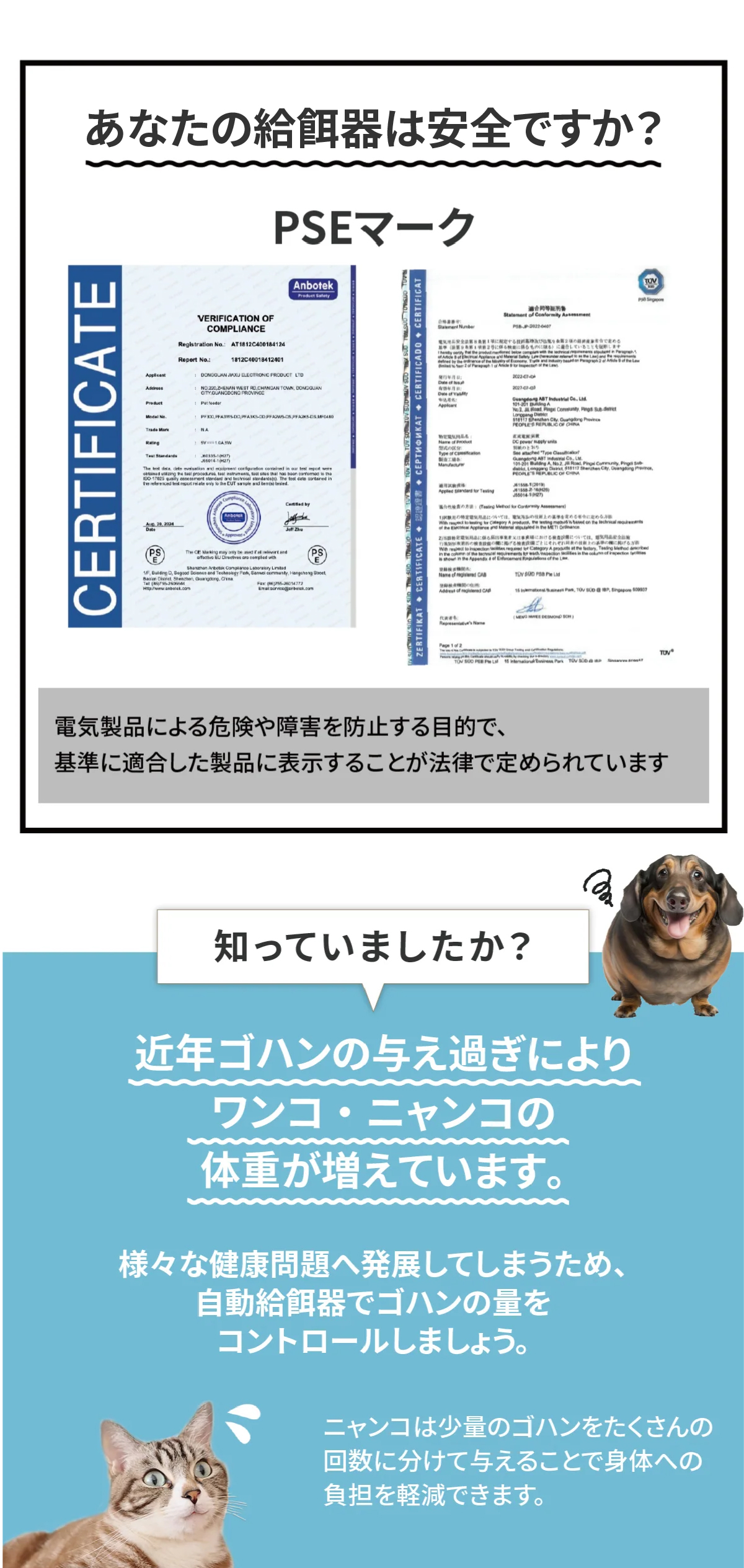 自動給餌器 猫 2匹