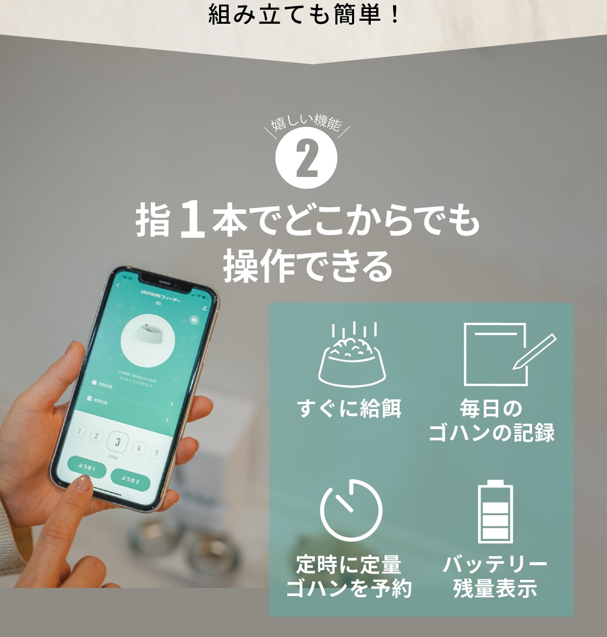 自動給餌器 猫 2匹