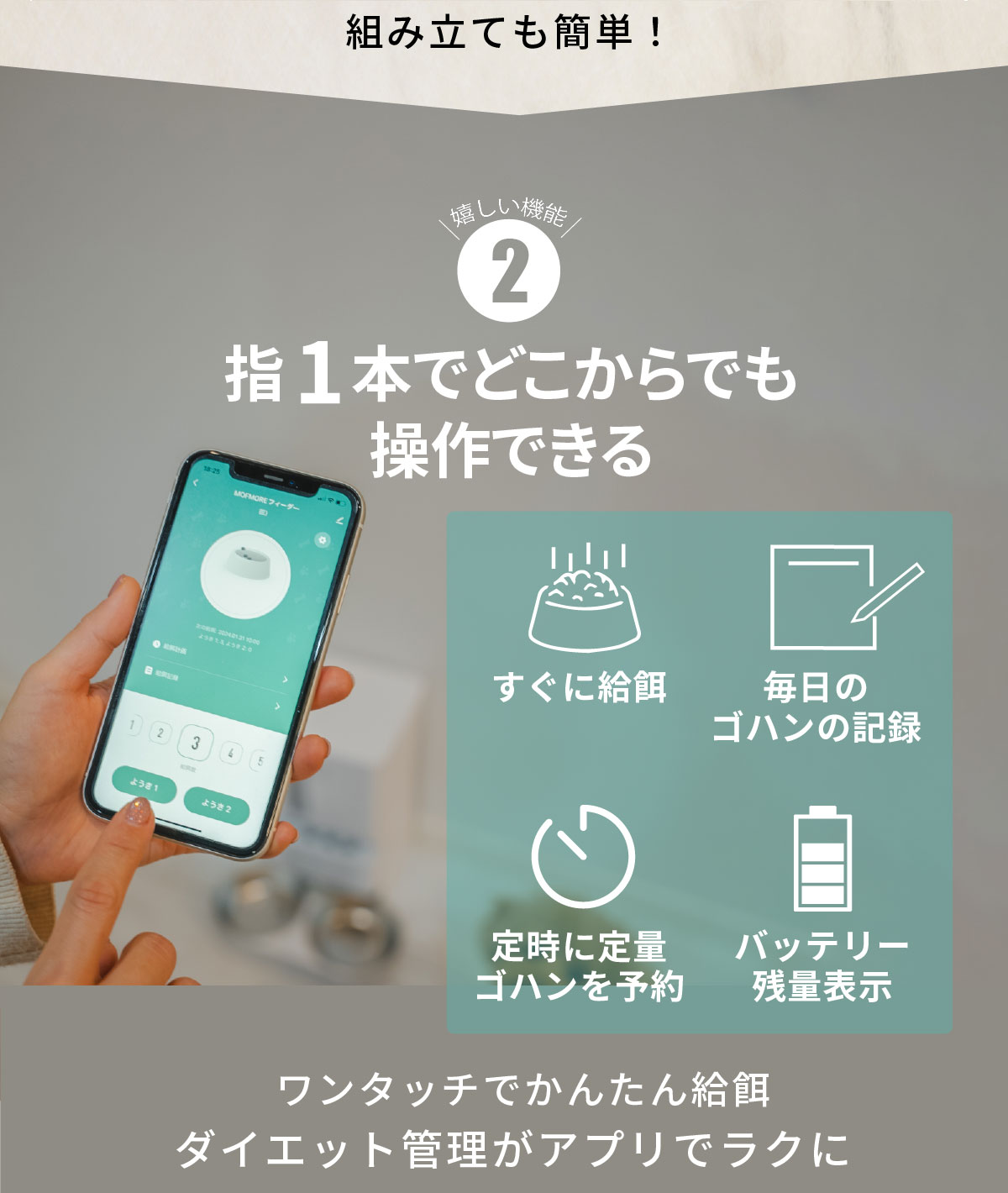 自動給餌器 猫 2匹