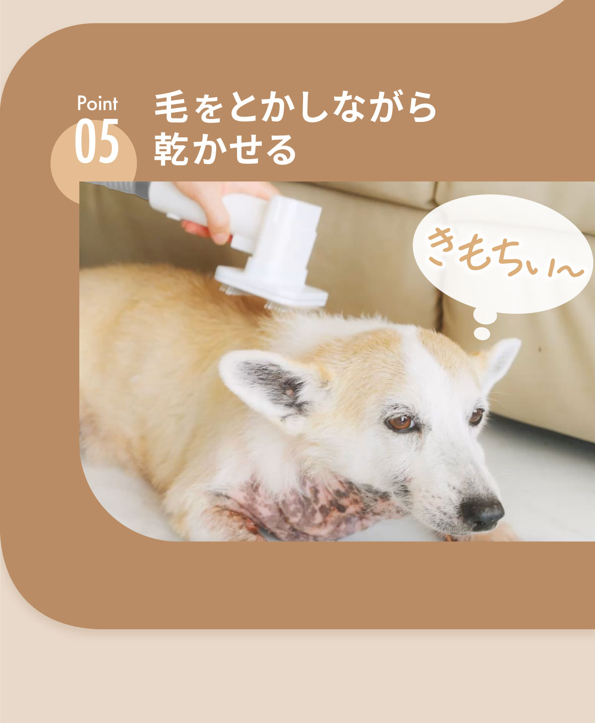 グルーミング掃除機