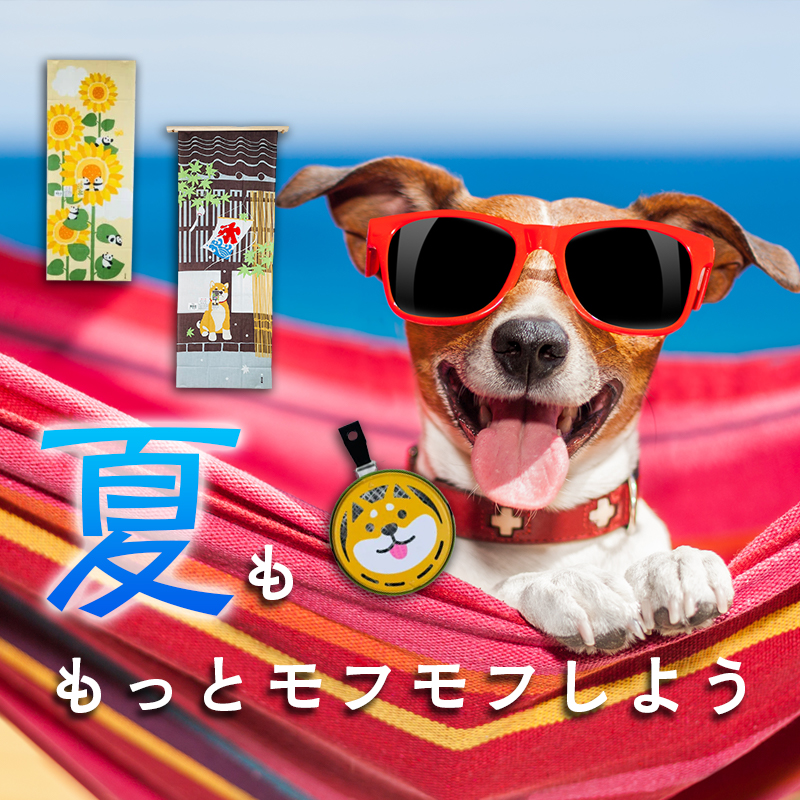 夏のもふもふグッズ特集