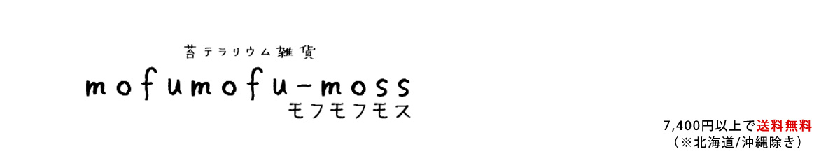苔テラリウム・雑貨mofumofu-moss ヘッダー画像