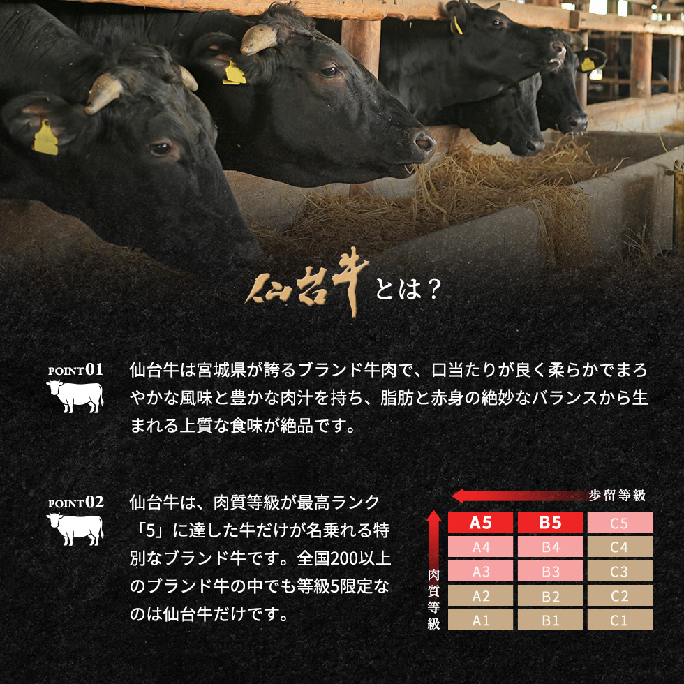 仙台牛入りもち豚ハンバーグ