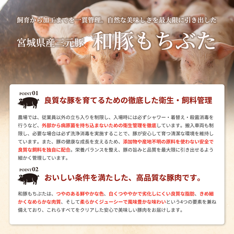 仙台牛入りもち豚ハンバーグ