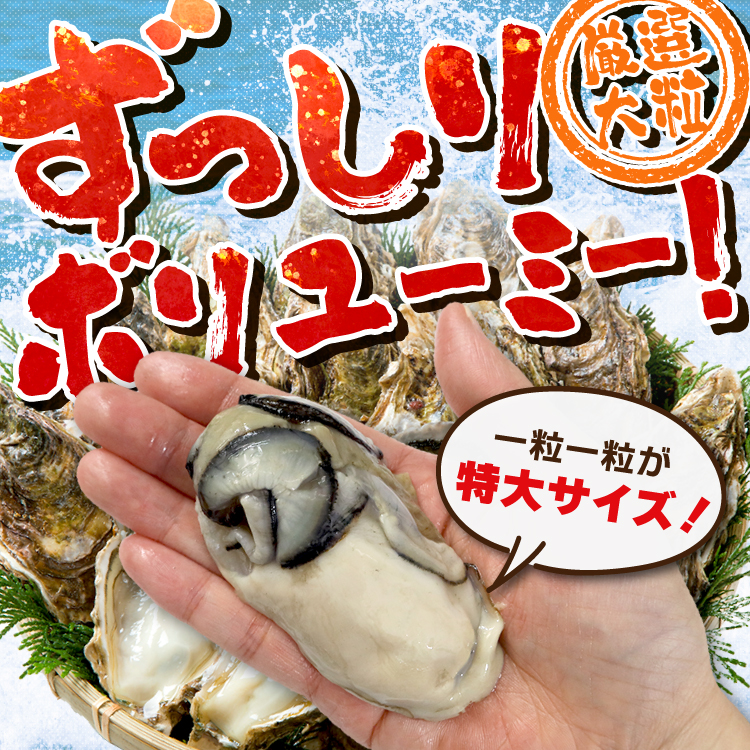 送料無料 宮城県産 超特大 牡蠣むき身5L 1kg(NET850g) 加熱用 カキ