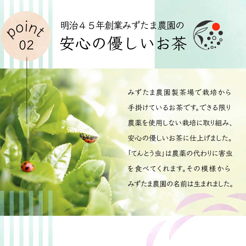 LINE友だちクーポン配布中 2袋セット HARUHANA べにふうき 粉末 各50g お茶 緑茶 煎茶 深蒸し茶 国産 静岡茶 無添加 製菓用 大容量  :18212:みずたま農園・もぐはぐ農園 - 通販 - Yahoo!ショッピング