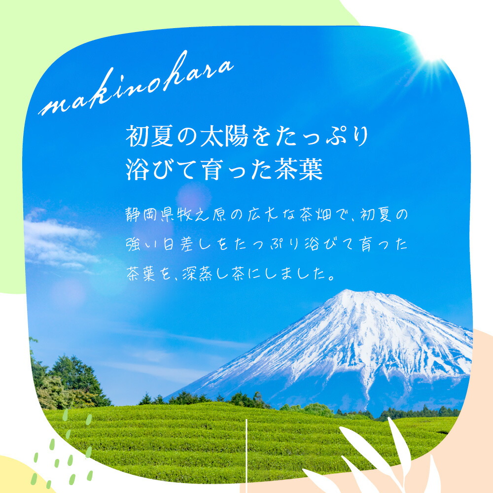 6袋セット 深蒸し あら茶 茶葉 100g お茶 緑茶 荒茶 二番茶 深蒸し茶 深蒸し煎茶 国産 静岡茶 牧之原茶 無添加 日本茶 リーフ 送料無料  メール便 カテキン aRKYaTkmnB, 食品 - orthodoxdevon.org