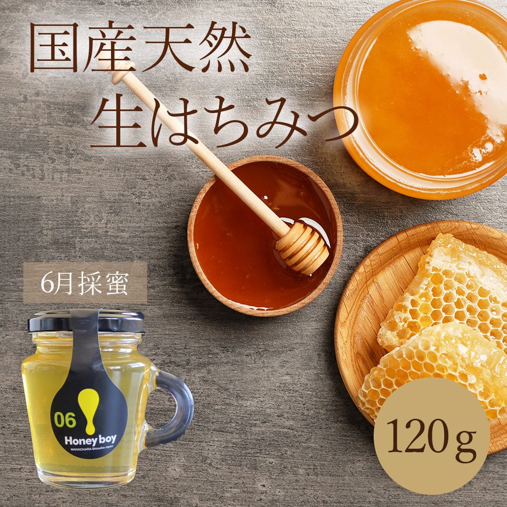 はちみつ 6月採取 蜂蜜 ハチミツ 国産 非加熱 120g プレゼント