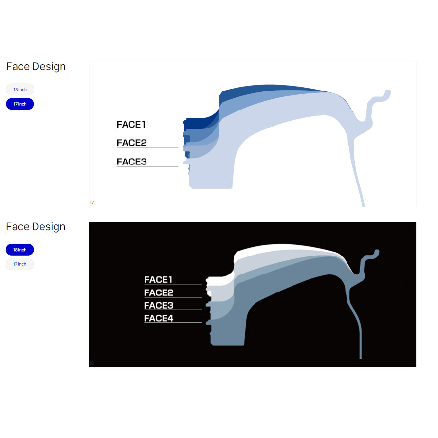 RAYS レイズ ボルクレーシング CE28N-plus Nプラス (2本セット) 5