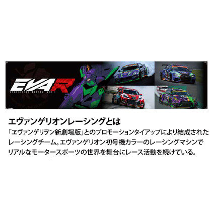 BRIDE ブリッド フルバケットシート ZETA IV REIMS ジータ4 レイムス EVAR MODEL EVAR MODEL 01 初号機 エヴァンゲリオン HAEV01 | BRIDE | 03