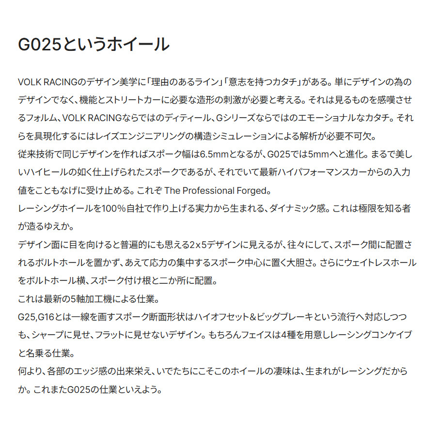 RAYS レイズ ボルクレーシング G025 (2本セット) 5/120 19x9.5J +44