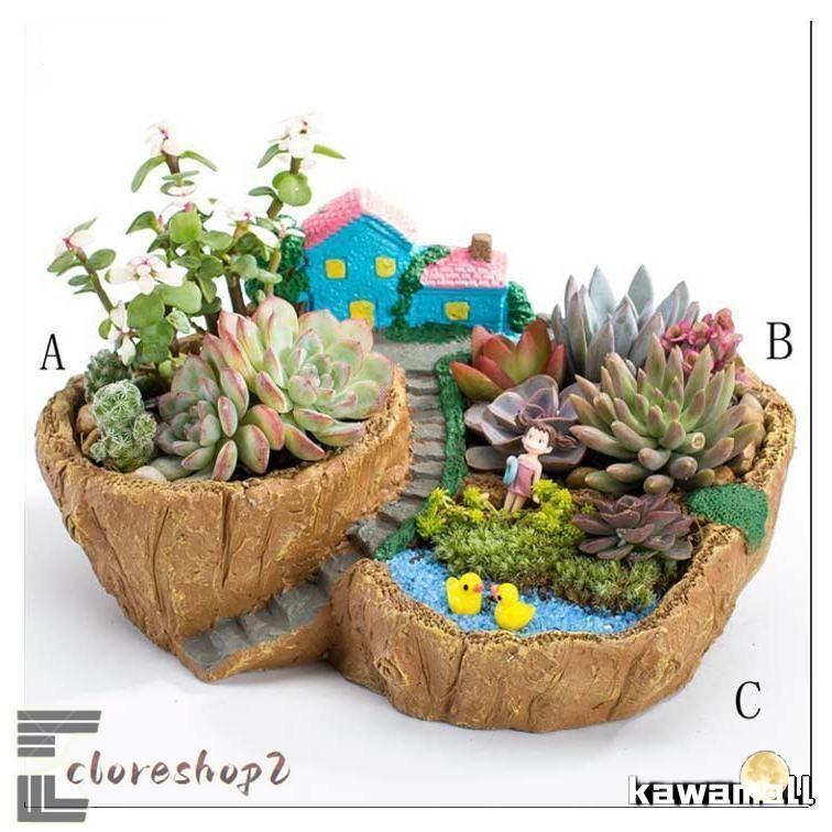 多肉植物 （寄せ植え ギフト）（植木鉢、プランター）｜園芸用品 | 花