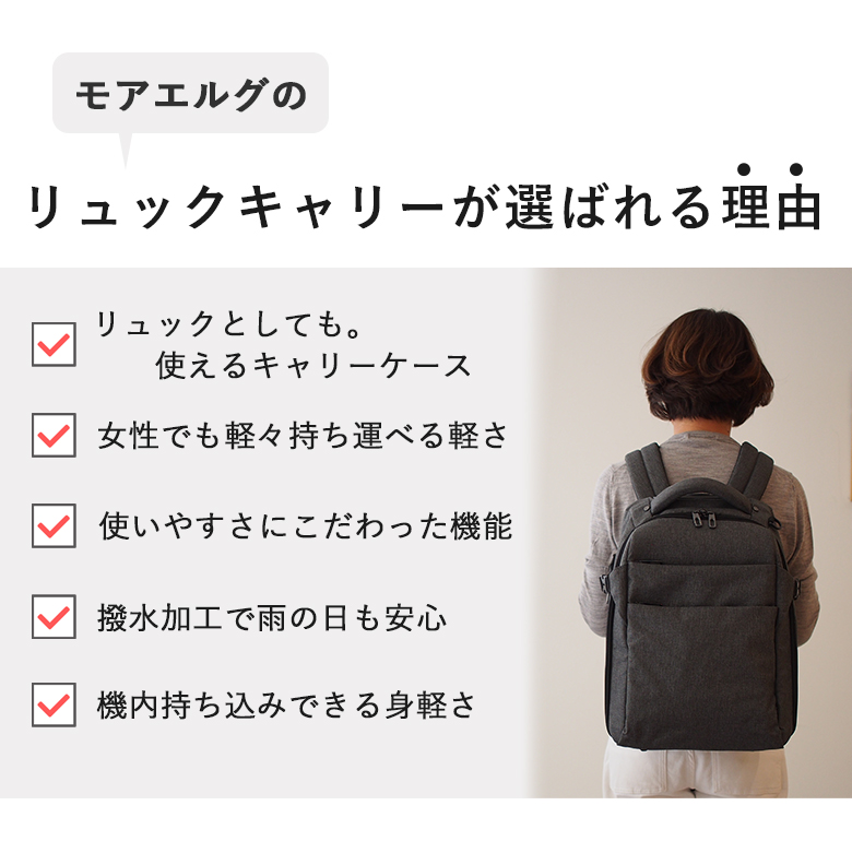 リュックキャリー スーツケース Sサイズ 機内持ち込み 23L 1.6kg 軽量 2輪 1泊 3way リュック 防災バッグ MOIERG 関連画像5