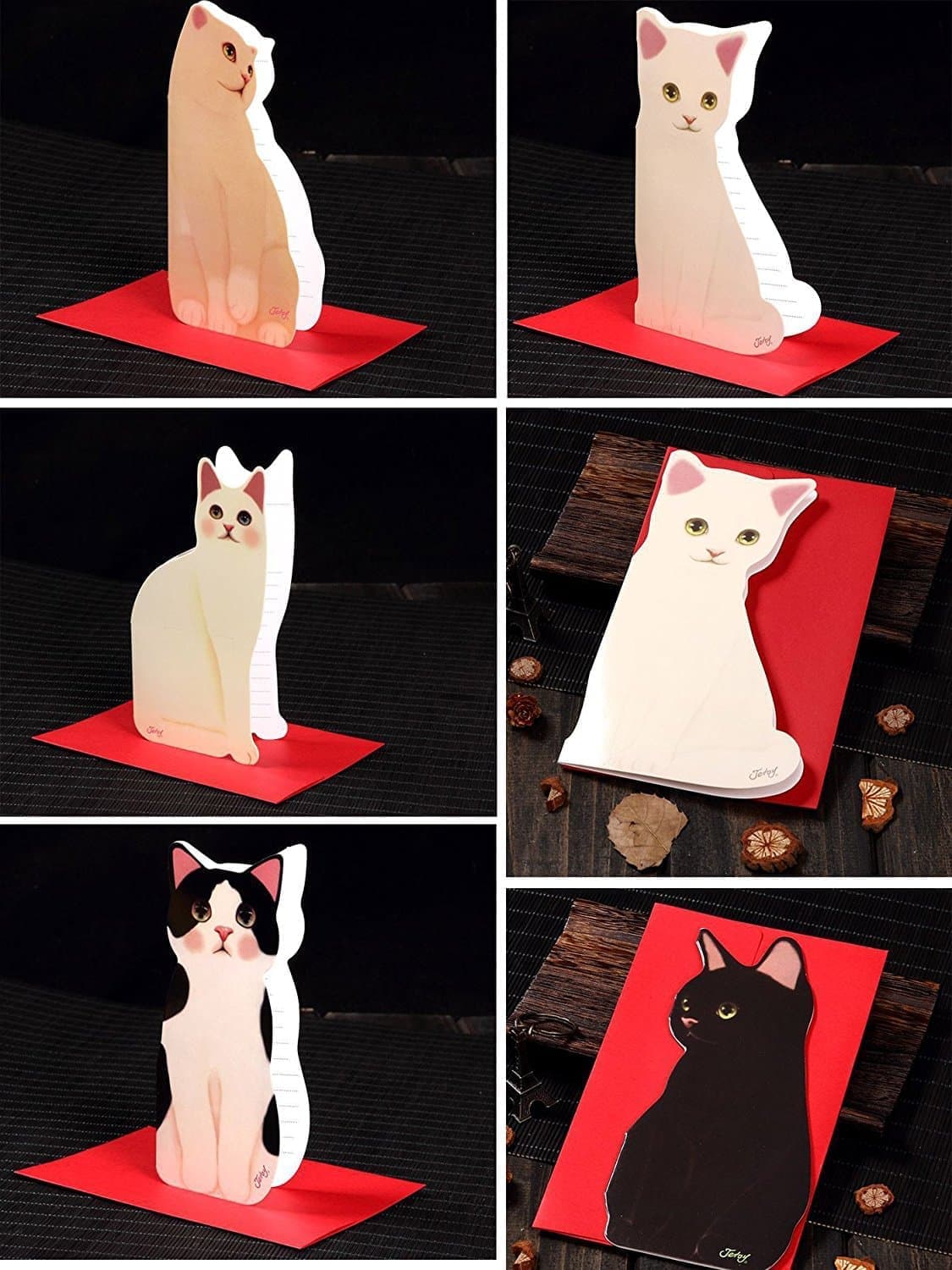 Jetoy愛らしい 猫 メッセージ カード 5種+封筒 セット グリーティング