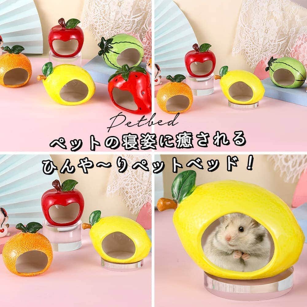 ハムスター　おうち　巣箱　小動物用（ブルー） レインボー]小型ハムスター用陶器製ハウス ジャンガリアンの