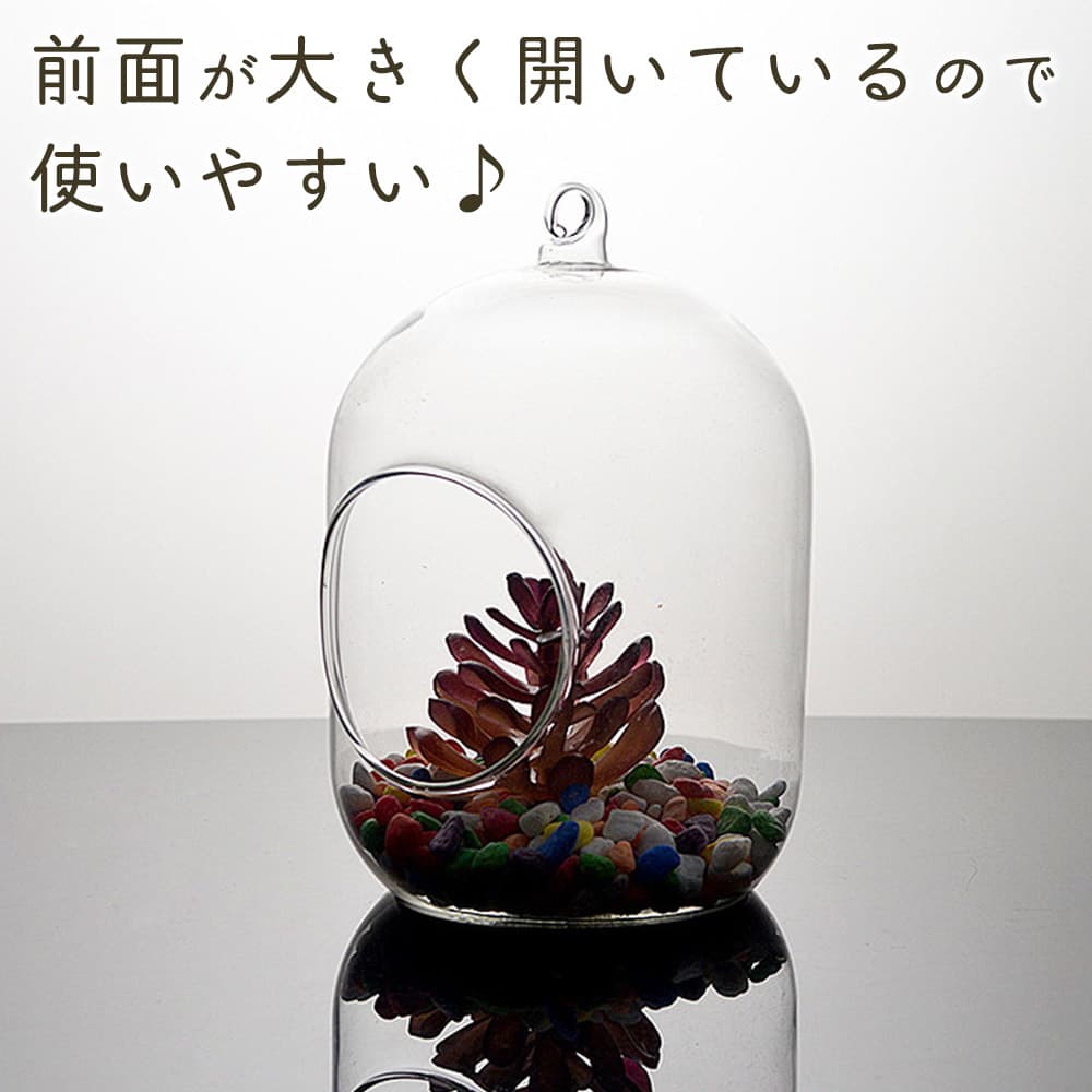 moin moinガラス ボール 花器 花瓶 フラワー ベース テラリウム 観葉