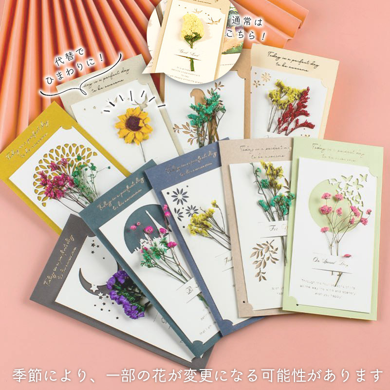 マイフラ】 通販/風の花 フーセンポピー ドライフラワー