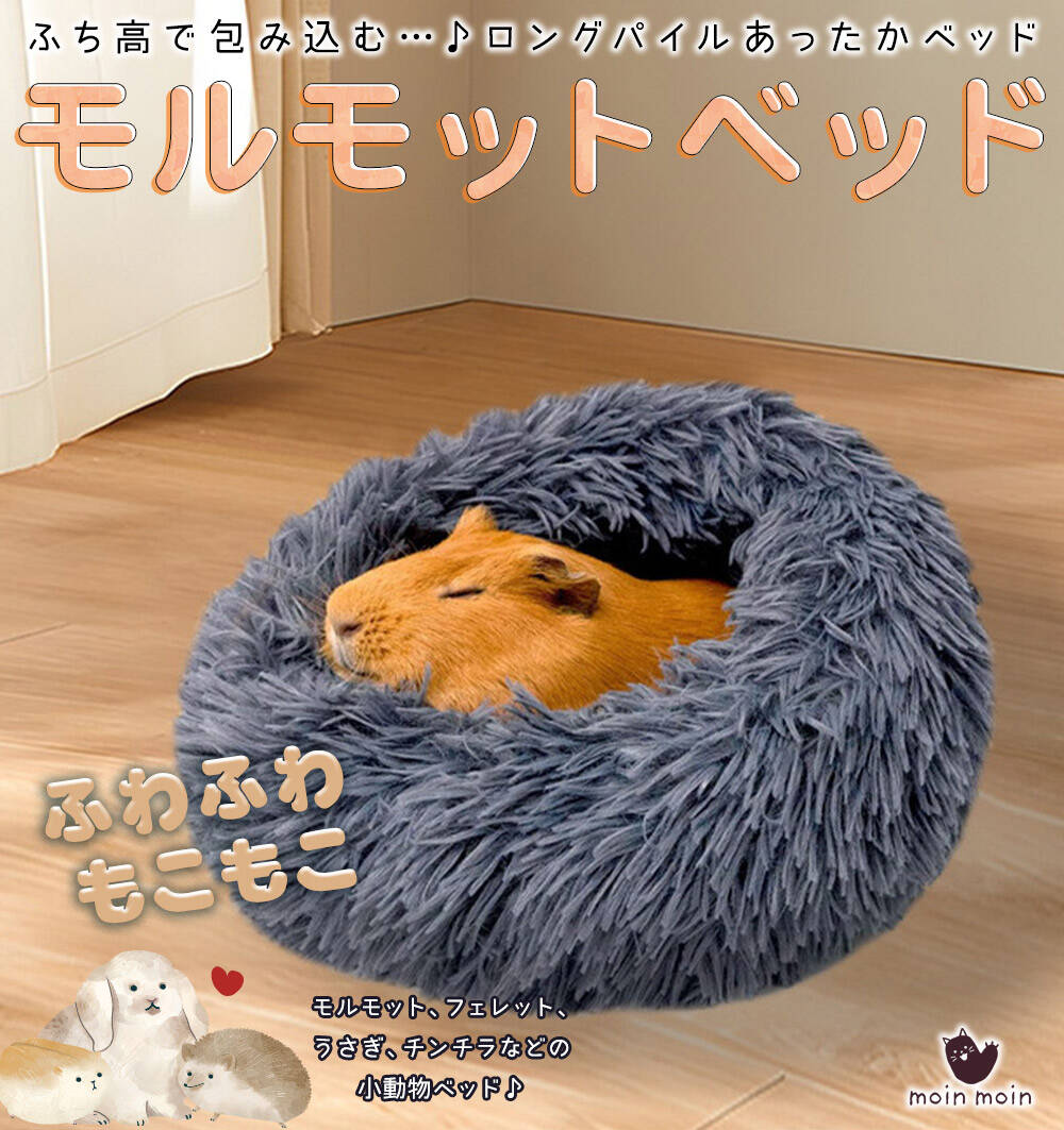 モルモット ハリネズミ チンチラ デグー フェレット プレーリードッグ