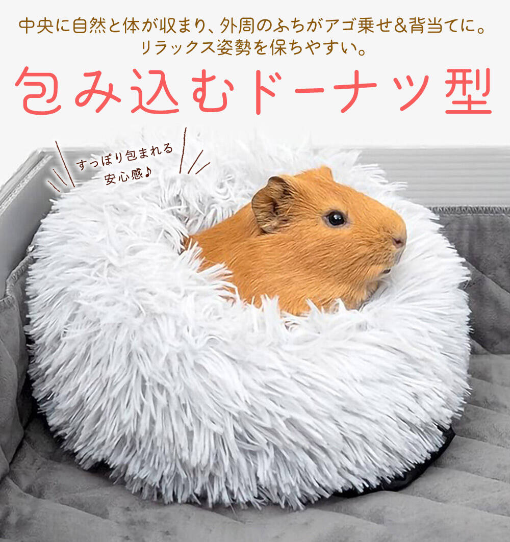 モルモット ハリネズミ チンチラ デグー フェレット プレーリードッグ