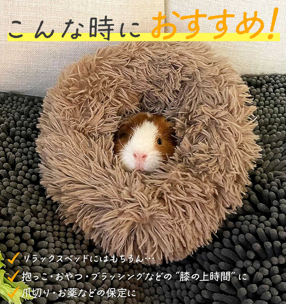 モルモット ハリネズミ チンチラ デグー フェレット プレーリードッグ