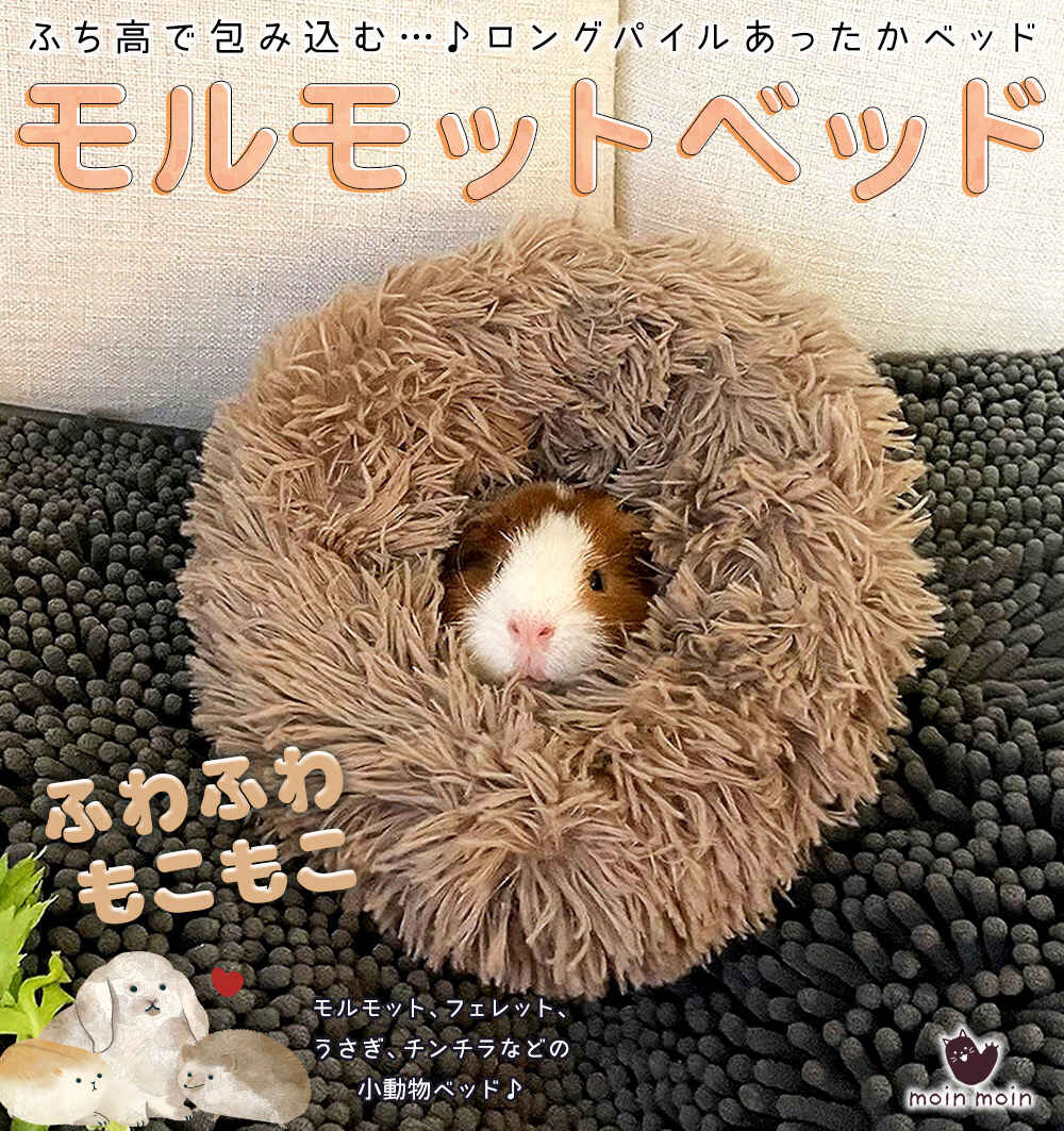 モルモット ハリネズミ チンチラ デグー フェレット プレーリードッグ