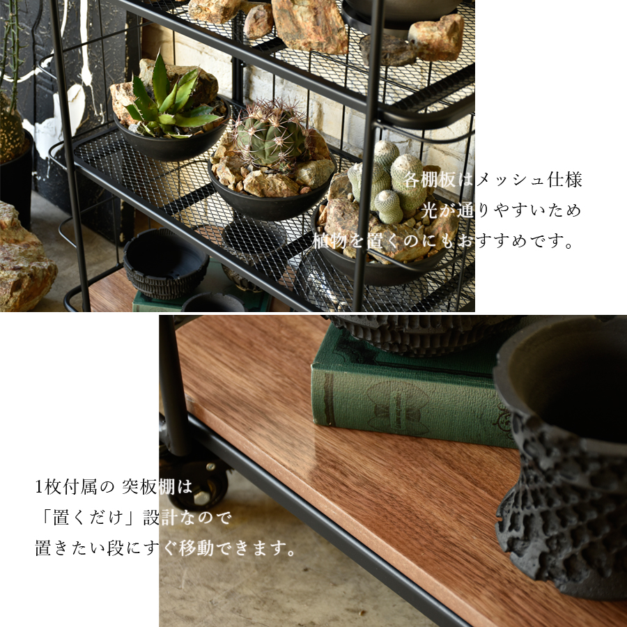 棚・シェルフ・ラック laui シェルフ LD シェルフラック 80 ブラック 棚 ラック 植物棚 : 大川家具