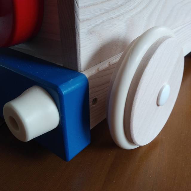 森のカラフルロコ