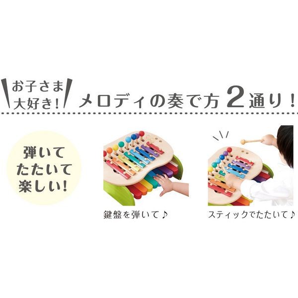 森のメロディーメーカー
