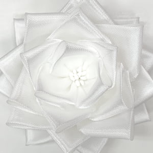 花のしべ（中心部分）